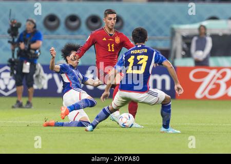 Doha, Qatar. 01st Dec, 2022. 01.12.2022, Doha, Pilka nozna, Mistrzostwa Swiata, Japonia - Hiszpania, N/z Ferran Torres (ESP), Hidemasa Morita (JPN), FOT. Tomasz Jastrzebowski/Foto Olimpik/Sipa USA -- 01.12.2022, Doha, calcio, Coppa del mondo FIFA 2022, Giappone - Spagna, nella foto: Ferran Torres (ESP), Hidemasa Morita (JPN), FOT. Tomasz Jastrzebowski/Foto Olimpik/Sipa USA Credit: Sipa USA/Alamy Live News Foto Stock