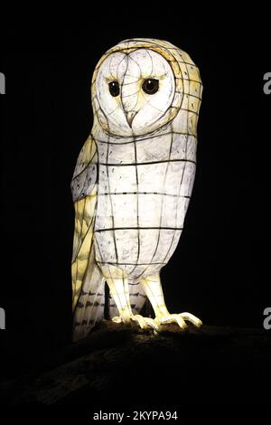 Suzan Vagoose - Notte delle Lanterne Heligan - Granaio Owl Foto Stock