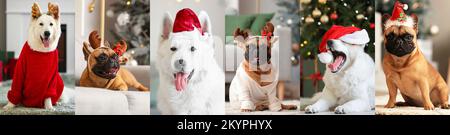 Collage con cani divertenti a casa la vigilia di Natale Foto Stock