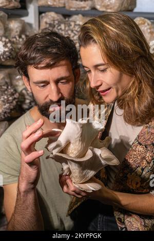 felice coppia contadina che tiene funghi ostriche in fattoria funghi Foto Stock