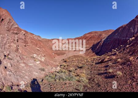 Vista del canyon di drenaggio dal lato nord del Tiponi Flats Pond nel Parco Nazionale della Foresta pietrificata in Arizona. Foto Stock