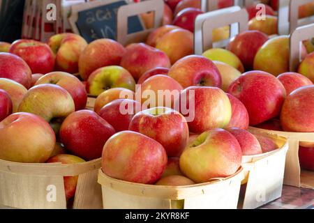 Contenitori di mele fresche del Michigan sono in vendita in questo sano mercato agricolo mostra Foto Stock