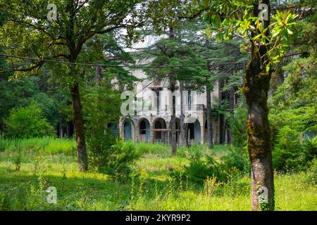 un vecchio edificio abbandonato in una foresta verde Foto Stock