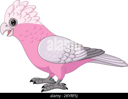 Cartoon Galah Cockatoo pappagalli Bird Illustrazione Vettoriale