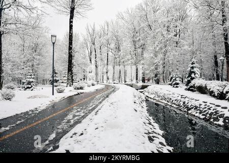 Alberi innevati e panchine nel parco cittadino. Buha City Park, Ucraina. Giornata invernale innevata nel parco. Foto Stock