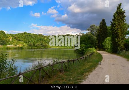 Riserva naturale Tevere Farfa (Nazzano, Italia) - veduta del parco naturale con il fiume Tevere in provincia di Roma, Sabina, Italia centrale, a Nazzano Romano Foto Stock