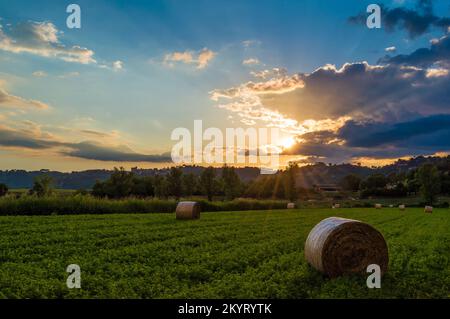 Riserva naturale Tevere Farfa (Nazzano, Italia) - veduta del parco naturale con il fiume Tevere in provincia di Roma, Sabina, Italia centrale, a Nazzano Romano Foto Stock