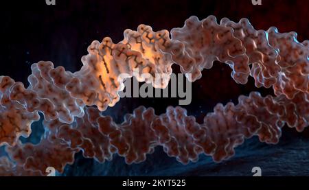 Fili a spirale di DNA su sfondo scuro. Illustrazione 3D Foto Stock