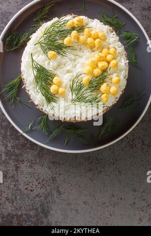 Insalata di mimosa a forma rotonda con verdure, uova e primo piano di pesce in scatola sul piatto grigio sul tavolo. Vista verticale dall'alto Foto Stock