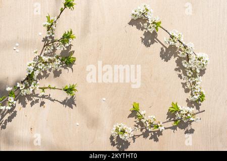 Rametti in fiore di primavera su sfondo di legno. Fiori di mela. Foto Stock