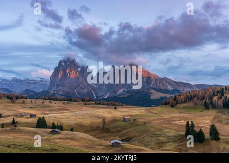 Sassolungo e Sassopiatto visti dalla magnifica Alpe di Siusi Foto Stock