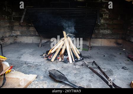 Piccolo fuoco fatto di legno secco per la preparazione barbecue a pic-nic nella natura Foto Stock