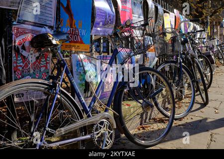 Una collezione di vecchie biciclette sul marciapiede incatenate a ringhiere coperte da poster a Cambridge, Regno Unito Foto Stock