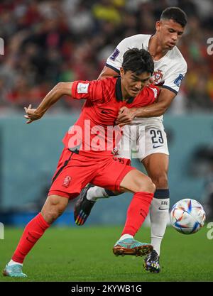 Al Rajjan, Qatar. 02nd Dec, 2022. Calcio, Coppa del mondo, Corea del Sud - Portogallo, turno preliminare, Gruppo H, matchday 3, all'Education City Stadium di al-Rajjan, in Corea del Sud Hwang (l) e le Matheus Nunes portoghesi in duello. Credit: Robert Michael/dpa/Alamy Live News Foto Stock