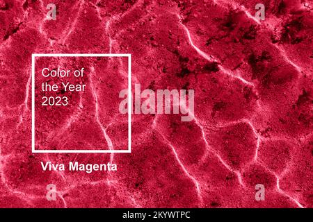 Disegno astratto acqua di mare struttura caustica sfondo con motivo di ondulazione e riflesso del sole. Immagine a colori dell'anno 2023 viva magen Foto Stock