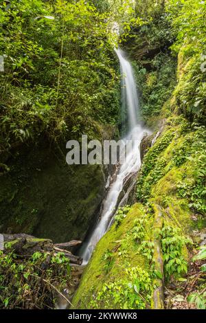 Una piccola cascata nelle montagne Sierra Juarez di Oaxaca, Messico. Foto Stock