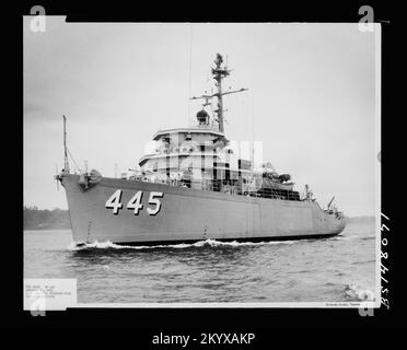 AM-445 Force , navi, Navali, Barche, Storia Navale, Navy Foto Stock