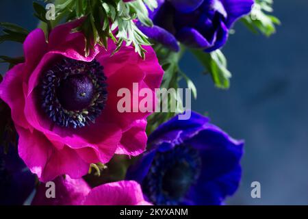 Anemoni fiori su sfondo di pietra Foto Stock