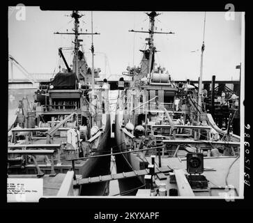 AM-444 Società e AM-445 forza, navi, Navali, Barche, Storia Navale, Navy Foto Stock