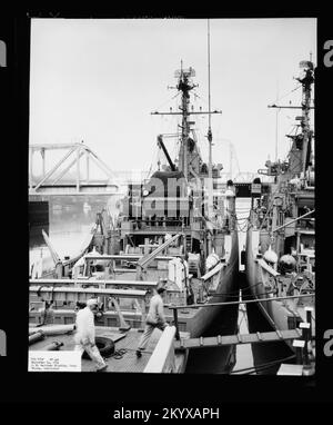 AM-445 Force , navi, Navali, Barche, Storia Navale, Navy Foto Stock