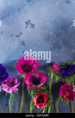 Anemoni fiori su sfondo di pietra Foto Stock