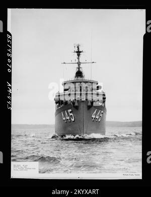 AM-445 Force , navi, Navali, Barche, Storia Navale, Navy Foto Stock