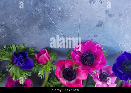 Anemoni fiori su sfondo di pietra Foto Stock