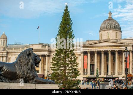 Londra, Regno Unito. 2nd Dec, 2022. Albero di Natale da Oslo, Norvegia. Le celebrazioni natalizie iniziano nel West End. Credit: JOHNNY ARMSTEAD/Alamy Live News Foto Stock