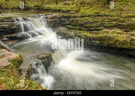 Cascata senza nome sotto Pont Melin Fach sul fiume Neath, o in gallese, l'Afon Nedd. Foto Stock