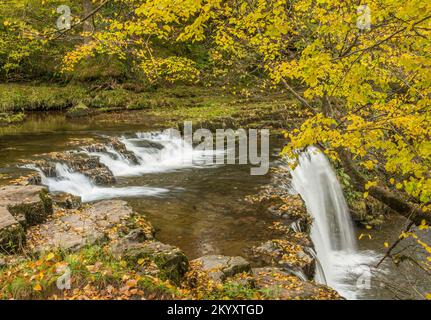 Le Upper Ddwli Falls sul fiume Neath nella vale di Neath, nel Galles meridionale in autunno Foto Stock