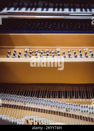Corde di un Baby Grand piano Foto Stock