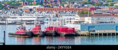 Rimorchiatori rossi nel porto di Portland Foto Stock