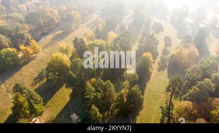 Volare sopra gli alberi autunnali, prato nel parco nelle giornate soleggiate e luminose. Vista dall'alto. Vista aerea del drone. Luce solare intensa, raggi luminosi e sovraesposizione al sole. Ombre lunghe. Splendido sfondo naturale Foto Stock