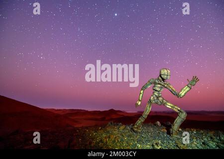 Uomo di pietra dell'artista RENN a Skeleton Coast View Point nel deserto del Namib sotto il cielo stellato, Lone Men, Kaokoland, Regione di Kunene, Namibia, Afro Foto Stock