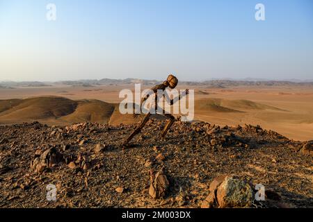 Lapideo dell'artista RENN a Skeleton Coast View Point nel deserto del Namib, Lone Men, Kaokoland, Regione di Kunene, Namibia, Africa Foto Stock