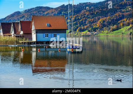 Boathouses sul grande lago Alpsee vicino a Bühl, Immenstadt im Allgäu, alta Allgäu, Baviera, Germania, Europa Foto Stock