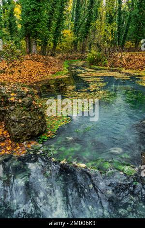 Le foglie del caldo colore autunnale caddono in una pozza d'acqua. Paesaggio autunnale di un bosco. Raiano, Provincia dell'Aquila, Abruzzo, Italia, Europa Foto Stock