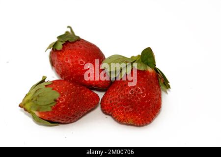 Mucchio di fragole fresche, la fragola da giardino è una specie ibrida molto diffusa del genere Fragaria ananassa con il suo aroma caratteristico, Foto Stock