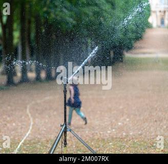 Irrigatore per prato irrigua prato in parco, Potsdam, Brandeburgo, Germania, Europa Foto Stock