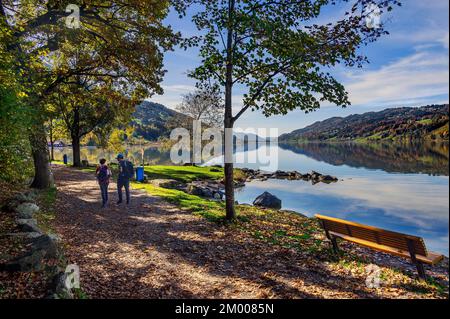 Sentiero lungo il lago sul grande lago alpino nei pressi di Bühl, Immenstadt im Allgäu, alta Allgäu, Baviera, Germania, Europa Foto Stock