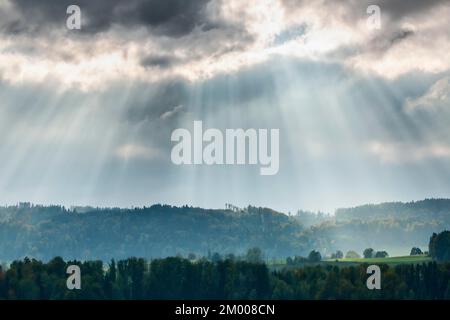 Effetto Tyndall su boschi rurali, raggi di sole si infrangono attraverso cielo nuvoloso e illuminano una foresta di radura, vicino Egg a Zurigo Obeland, Svizzera, Europ Foto Stock