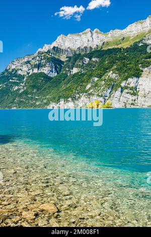 Vista dalla riva del lago Walen della piccola isola di erba cipollina in mezzo alle acque turchesi e con il fiume Churfisrten e Leistchamm Foto Stock