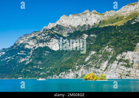 Corso di barca sulle acque turchesi del lago Walen ai piedi del Churfirsten con la piccola isola di erba cipollina e la catena montuosa di Schären nel bac Foto Stock