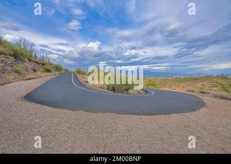 Pista ciclabile a forma di U e passaggio pedonale con vista panoramica sul paesaggio di Tucson, Arizona. Sentiero in prossimità del pendio a sinistra con cactus saguaro Foto Stock