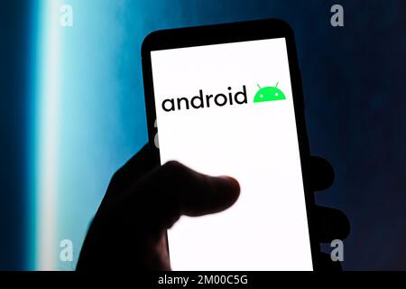 Polonia. 02nd Dec, 2022. In questa immagine viene visualizzato un logo Android sullo smartphone. Credit: SOPA Images Limited/Alamy Live News Foto Stock