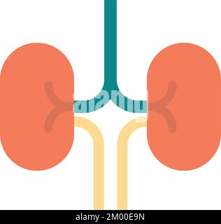 illustrazione del rene in stile minimale isolata sullo sfondo Illustrazione Vettoriale