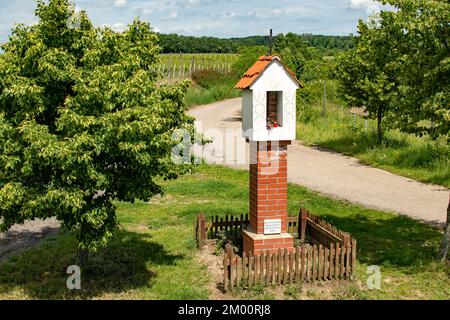 Torre panoramica di Kravi Hora vicino Boretice, Repubblica Ceca Foto Stock