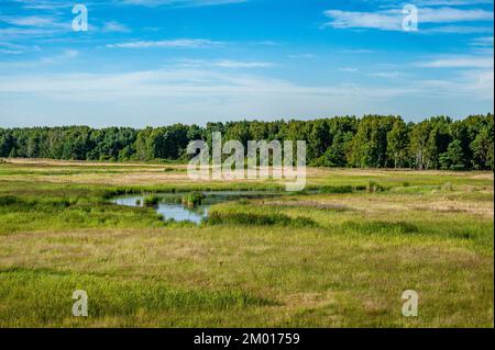 Piccolo lago nei prati costieri sulla costa del Mar Baltico. Prati costieri di Kavaru. Estonia. Foto Stock