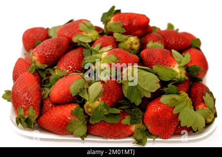 Mucchio di fragole fresche, la fragola da giardino è una specie ibrida molto diffusa del genere Fragaria ananassa con il suo aroma caratteristico, Foto Stock