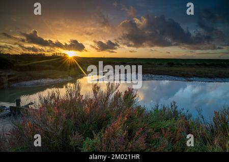 Thornham paludi e torrente al tramonto, Thornham, Norfolk, Inghilterra, Regno Unito Foto Stock